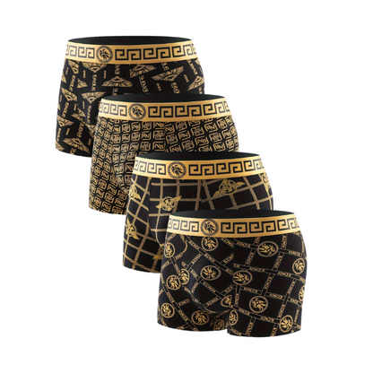 Pack of 4 Soft-Touch Viscose Briefs